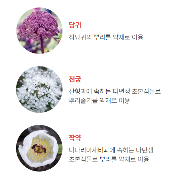 당귀,천궁,작약의 이미지와 특징